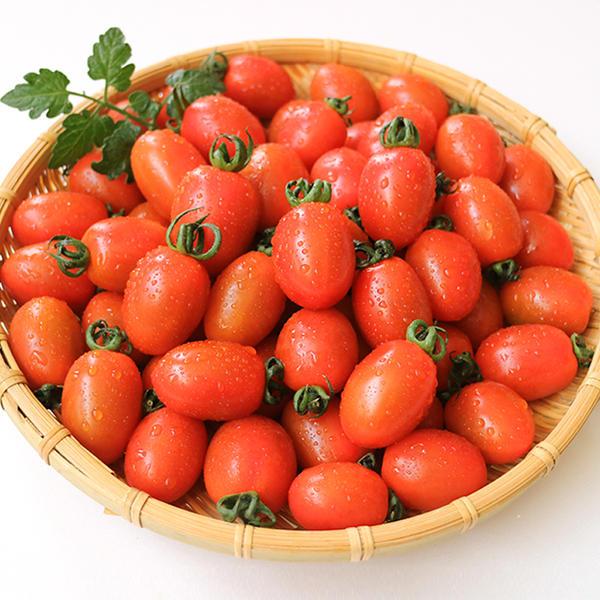 국내산 대추방울토마토 2kg 1-3번과(로얄과) (7,920원/무료)