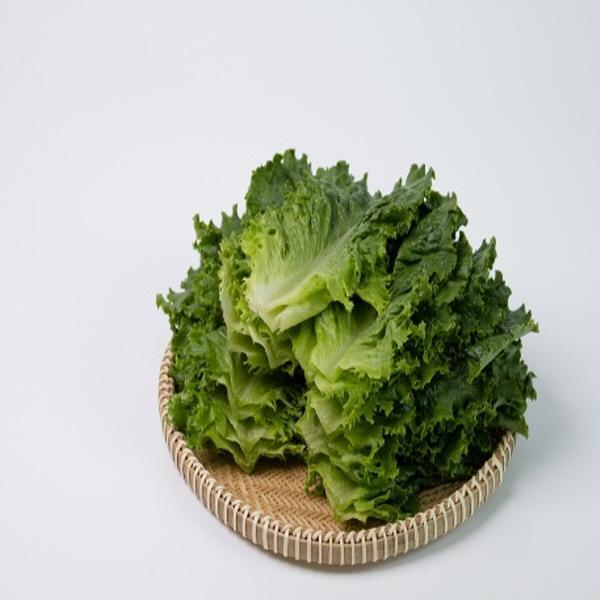 로메인 상추 1kg (3,960원/무료)