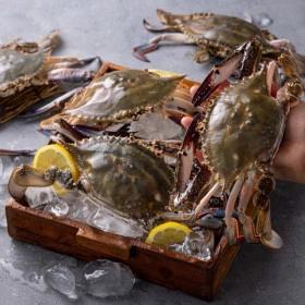 국내산 생물꽃게 1kg(4~6미)/빙장포장/암수혼합/태안 자연산 꽃게 ( 31,610원 / 무료 배송 )