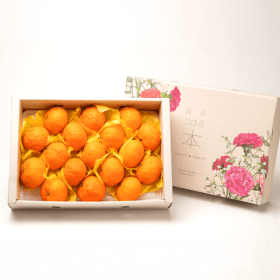 어버이날 도착보장/카라향 선물세트 3kg 로얄과(13~20과) ( 16,970원 / 무료 배송 )