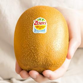 20%+10%/ 제스프리 왕 슈퍼점보 골드키위 개당180g내외 1.8kg 공식인증 맛젤 ( 18,200원 / 무료 배송 )