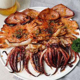 오징어 원양산 반건조 오징어 500g(10미)/소소 ( 13,490원 / 무료 배송 )