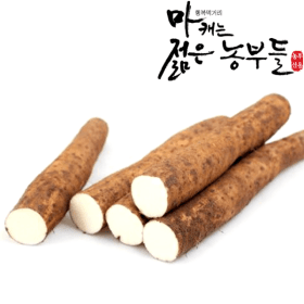 지마켓)마캐는 젊은 농부들 안동마 부용농산 장마(중품) 2kg 영파머스몰