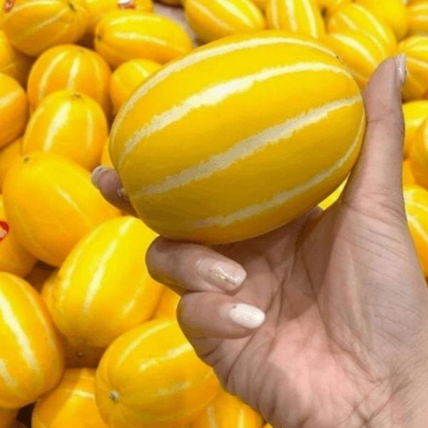 경북 못난이 참외 4kg 랜덤 꼬마 소과 외 (다양/무료)
