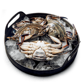 태안 자연산 최상급 알배기 활 암꽃게 1kg 3-5미/제철 봄꽃게 ( 29,480원 / 무료 배송 )