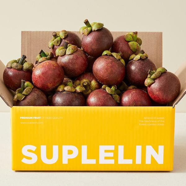 망고스틴 1kg (11,880원) (무료)