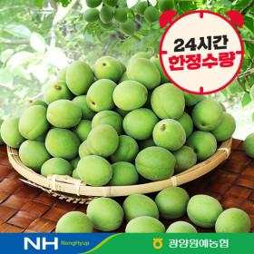 10%/ 광양원예농협 청매실 5kg(특/L) 광양매실 5월 28일 출하 ( 26,010원 / 무료 배송)