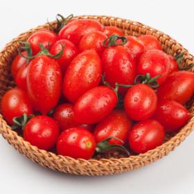 10%/ 대추방울토마토 한입에 쑥 대추 방울토마토 2kg(로얄과1~3번과) &lt; 8,820원 / 무료 배송 &gt;