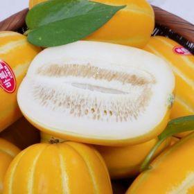 성주 꿀 참외 가정용 5kg