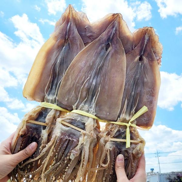 원양산 마른오징어 파품 500g내외(4~8미)