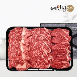 농협안심한우 1등급 한우 선물세트  (등심400g+채끝300g+안심300g)