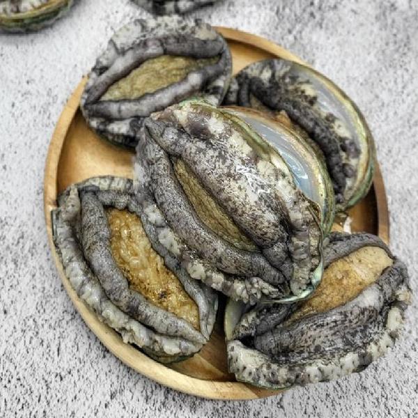 완도산 싱싱한 활전복 1kg 10~12미 중 사이즈