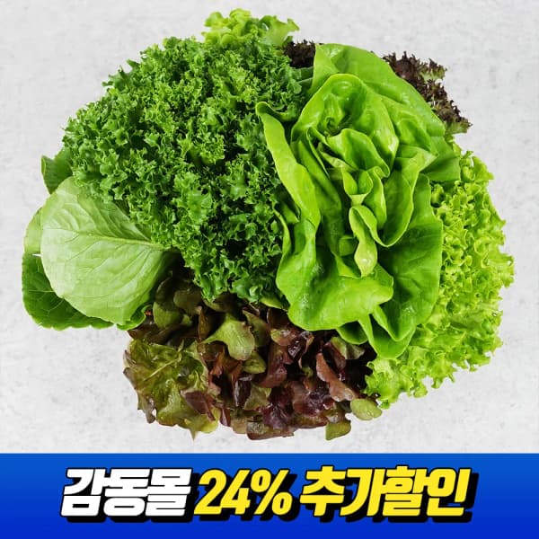 코인딜) 유럽형 샐러드 쌈채소 1kg 5~6종