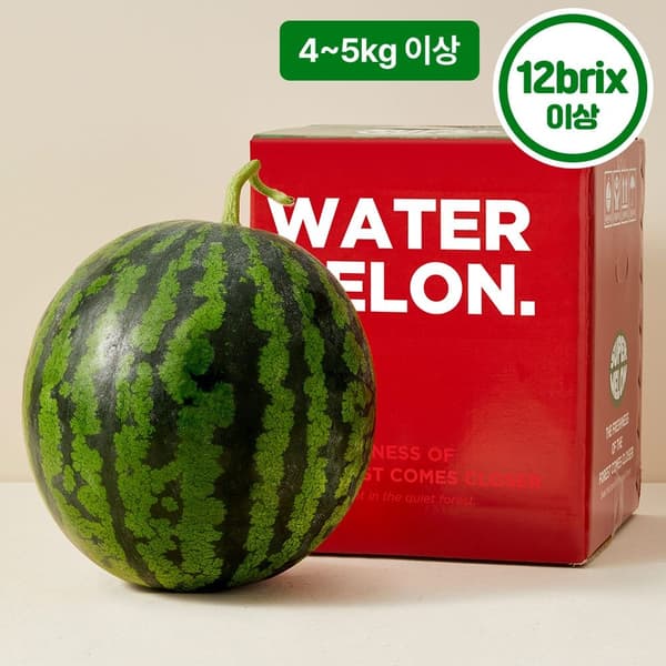 롯데온) 과즙 가득 실속형 수박 4-5kg 11,160원 무배