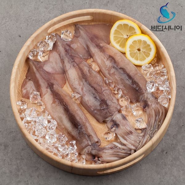 롯데온) 손질 통오징어 6미 1.2kg 17,230원 무배