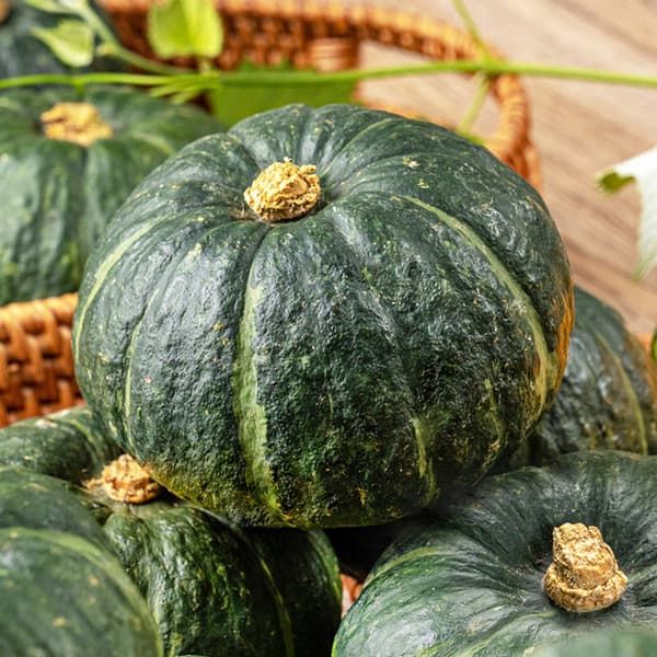 남도장터) 해남 미니 밤호박 1kg 외 6,860원~