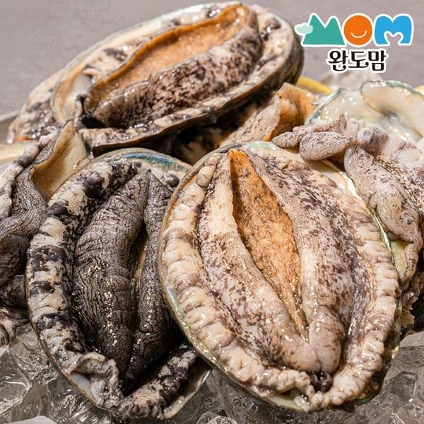롯데온) 완도 활 전복 1kg(8-9미) VIP 특대 사이즈 22,990원
