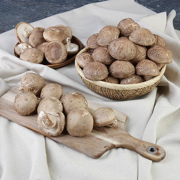 11번가)충남서천 GAP인증 실속형 포고버섯 1kg 9,590원