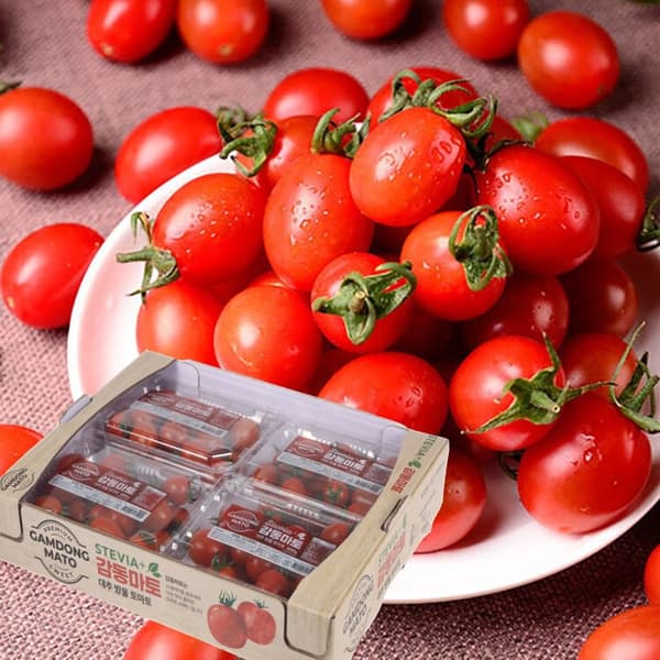 롯데온) 당일배송 스테비아 방울토마토 1kg 9,900원 무배