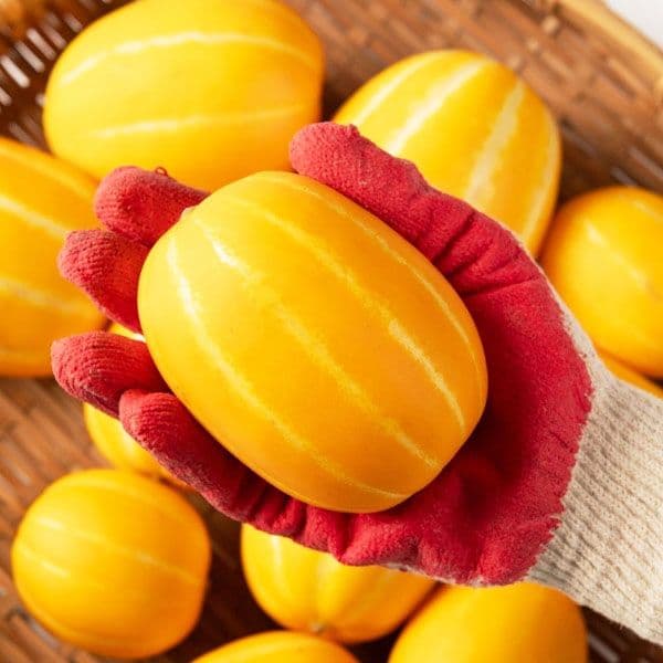 유플위크 교보, 캐시로 바꿔서 쓰세요) 핫트랙스 가정용 참외1kg 6900원