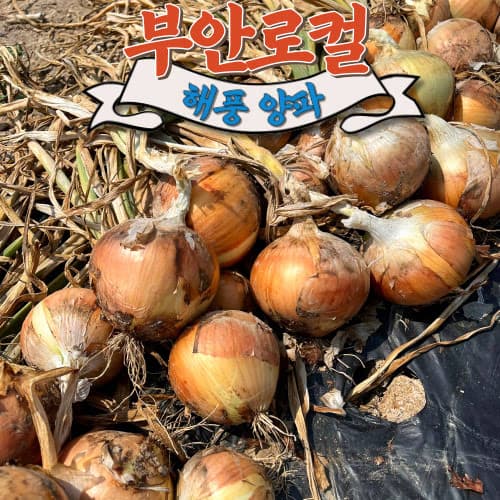우체국) 햇양파 중대혼합 3kg 3,400원