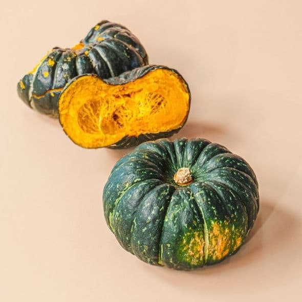 롯데온) 제주 미니 밤호박 2kg 소과 13,090원