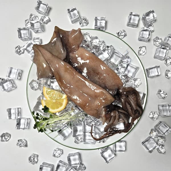 롯데온) 자연산 손질오징어 2미(220g) x 5팩 15,960원 무배