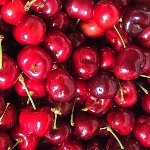롯데온) 항공직송 미국 생 체리 500g 2팩 총1kg 13990원 무료