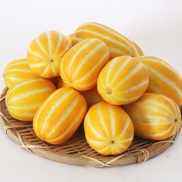 sk스토어) 달콤 아삭 산지직송 성주참외 2kg 6,960원 무배