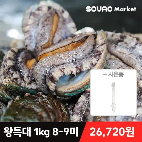 11번가) 바다마을 완도 활 전복 왕특대 1kg 8-9미 26,720원(+세척솔증정)