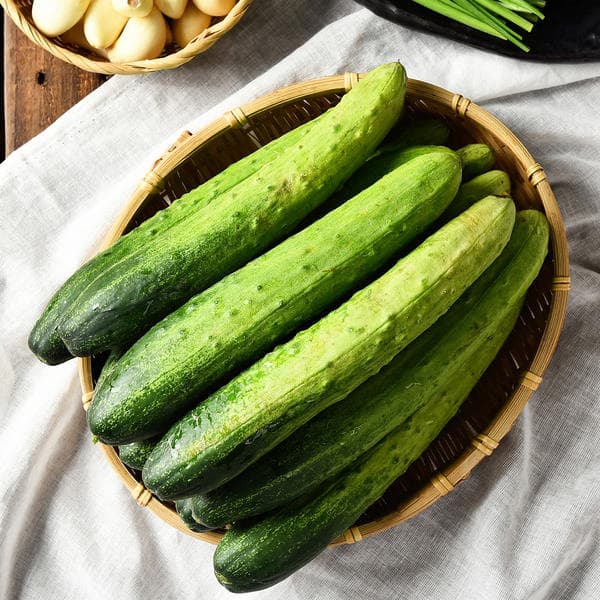 11번가) 국내산 백다다기 오이 3kg 9,410원 무배