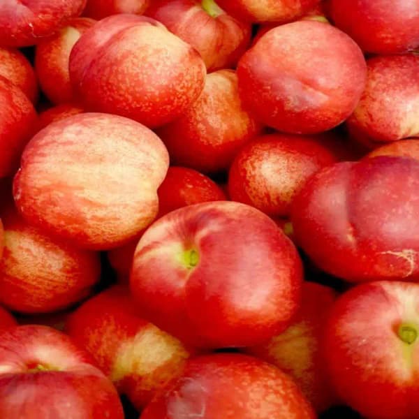 신비복숭아 1kg /2kg 크기별 3종 (아이스박스배송) (11,928원/무료)