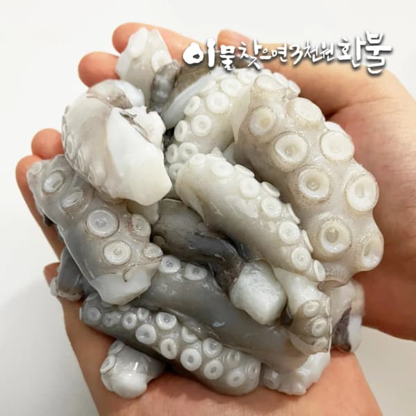 오리 주물럭 양념 오리불고기 1kg(10,686원/무료) , 짜장면 5인분 밀키트셋트(11,962원/무료)