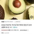 아보카도 특대과 6과 (8,900원/3,500원)