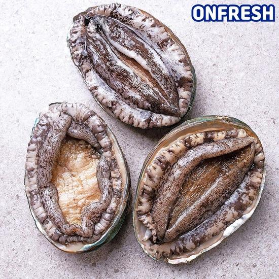 완도활전복 1kg 10-11미(19,940원/무료)