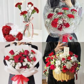 카네이션 생화 카네이션4송이+목화1송이 (8,880원/무료)1