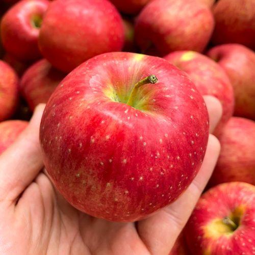 부사 중소과 3kg/4kg/8k 골라담기 (15,900원~/무료)3