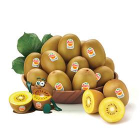 제스프리 골드키위 2.6kg 중대과 (카드19,860원/무배)1