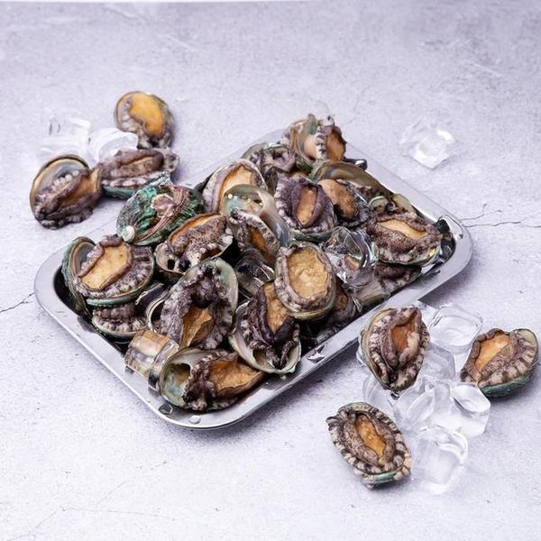 활전복 17-20미 1kg + 전복세척솔(14,690원/무료)