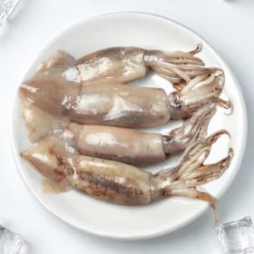 손질 왕오징어 통오징어 1kg 4-6미(13,390원/무배)