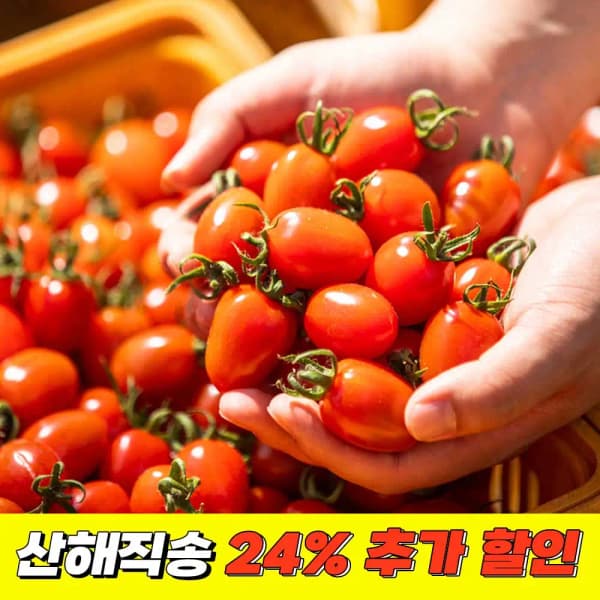 코인딜) 논산 대추방울 토마토 로얄과 2kg (4,419원/무료)