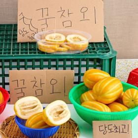 성주 햇꿀 참외 가정용 랜덤혼합과 4.5kg (12,980원 / 무배)