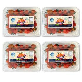 스테비아 대추 방울 토망고 500g X 4팩 (11,930원/무료)2