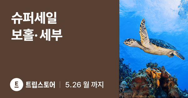 보홀/세부 3박 패기지 슈퍼세일 (342,000원부터/무료)