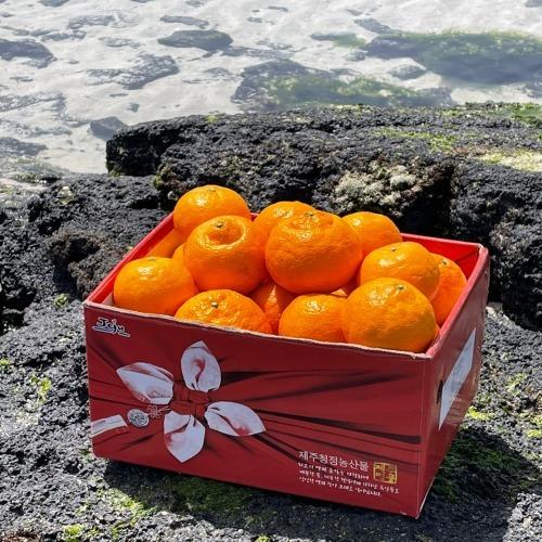 제주 카라향 2kg (9900원/무배)2
