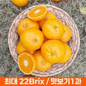 22Brix 고당도 설국향 2kg + 2kg (16,680원/무료)1