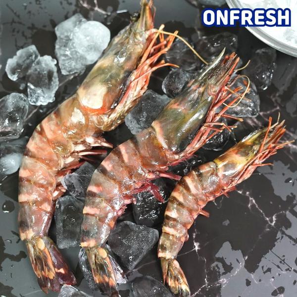 블랙타이거새우 500g 10미 (카드 11,930원/무료)2