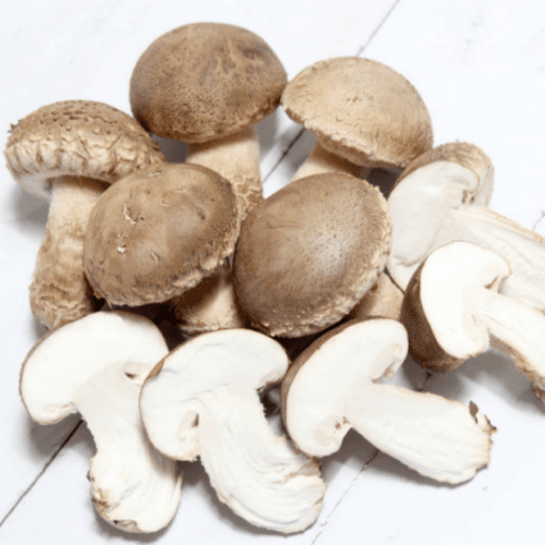 못난이 송화고 버섯 500g (7820/무료)10