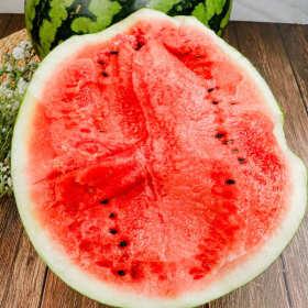 국내산 100% 가정용 꿀 수박 3~4KG (유클 10,880원/무배)6