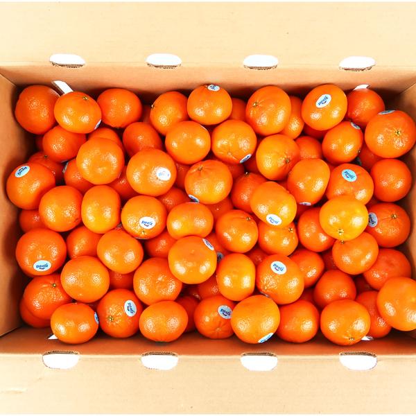 만다린 감귤 2kg (9,900원/무료)6